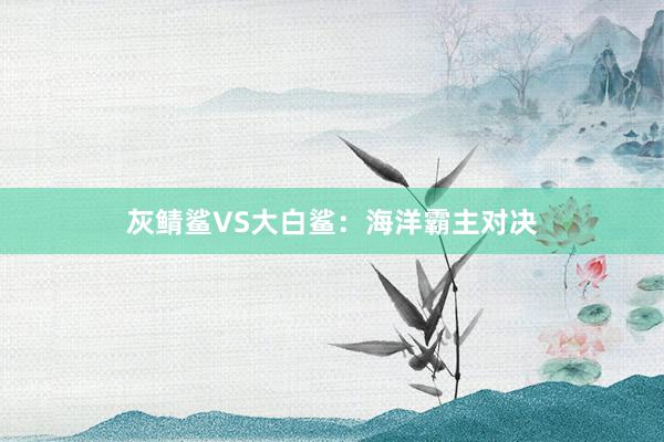 灰鲭鲨VS大白鲨:海洋霸主对决